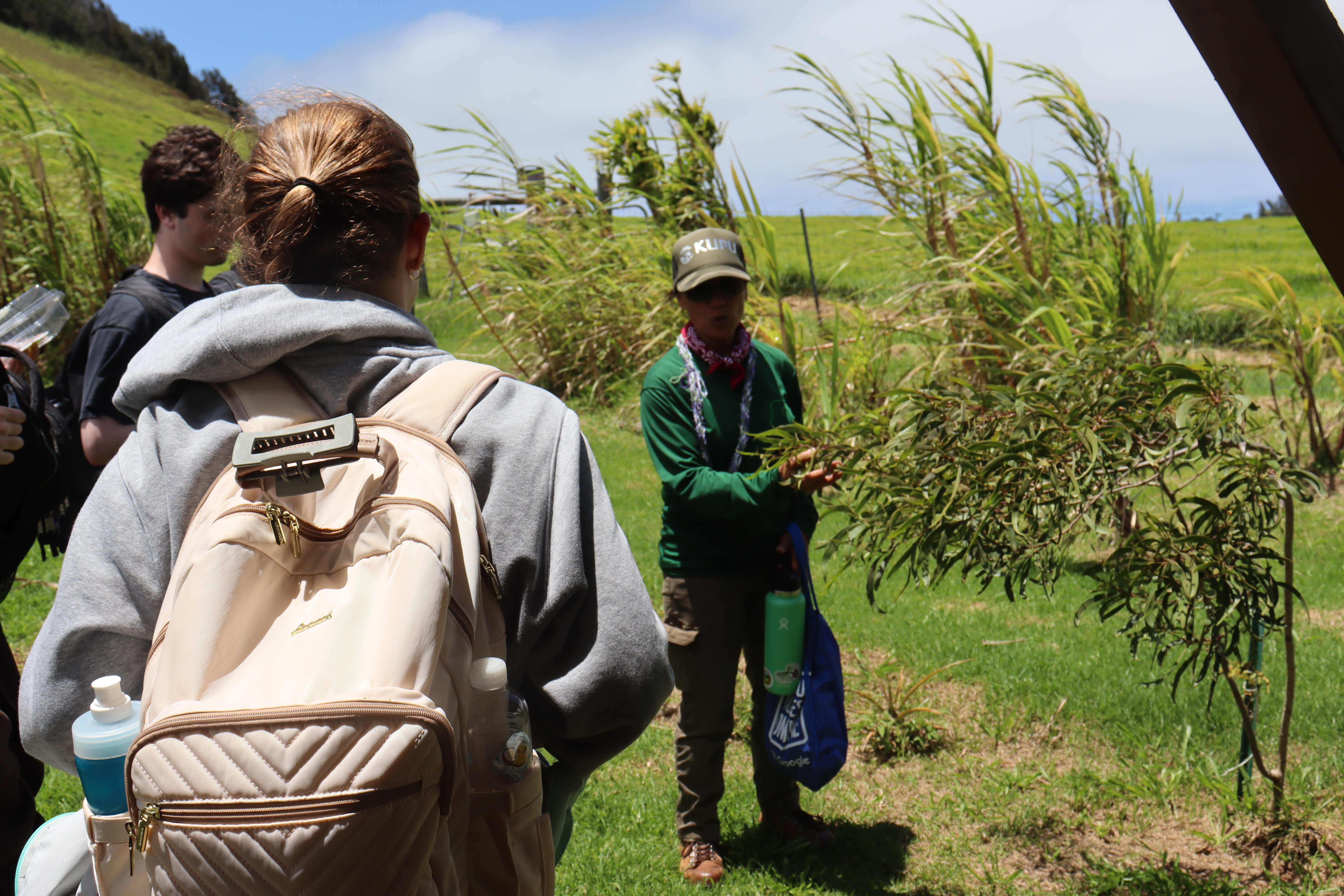 Kehau Marshall teaches the team about agricultural experiments informed by traditional practices.