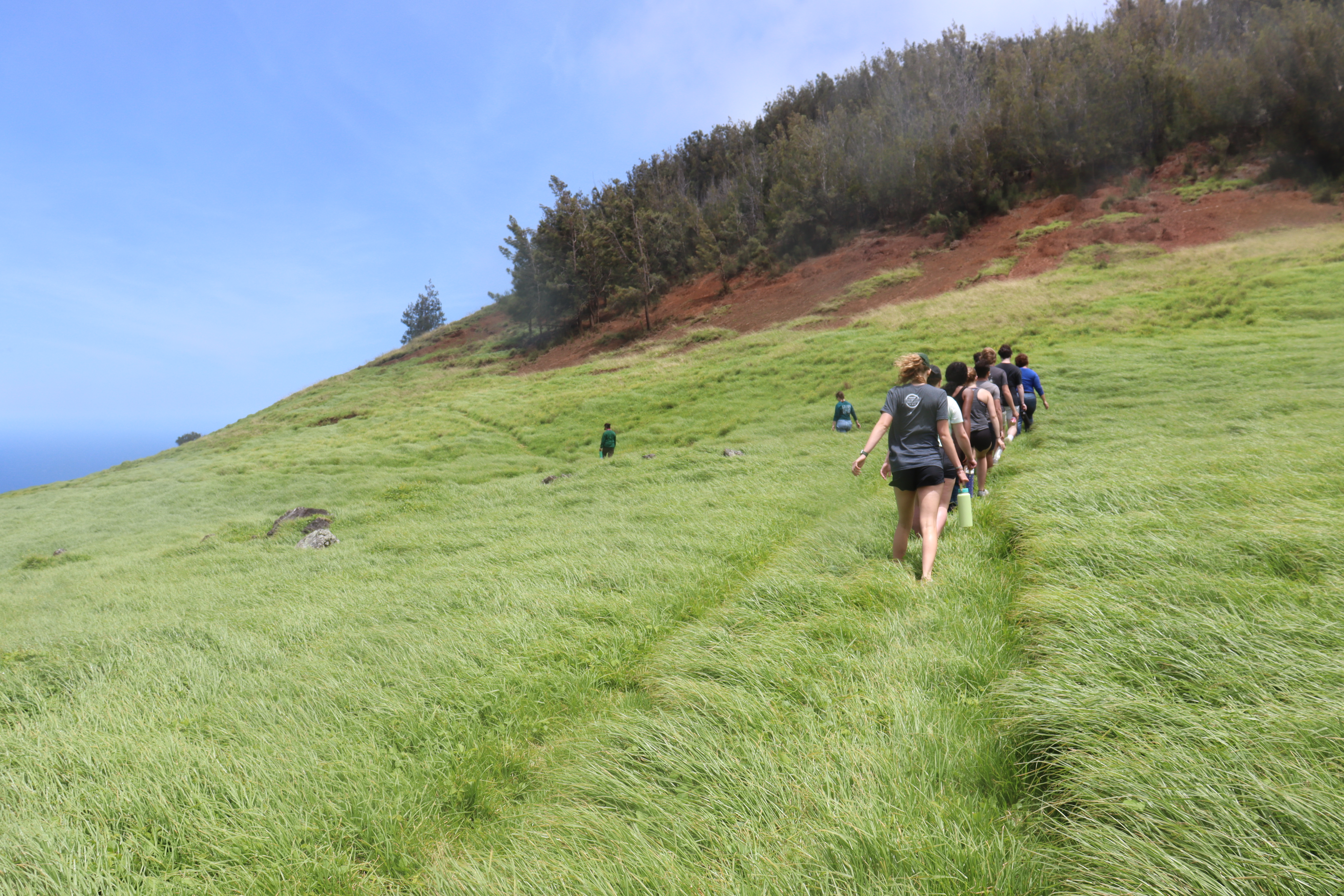 The team walking through Ulu Mau Puanui.